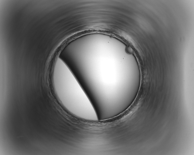 X0000088710923200705311036