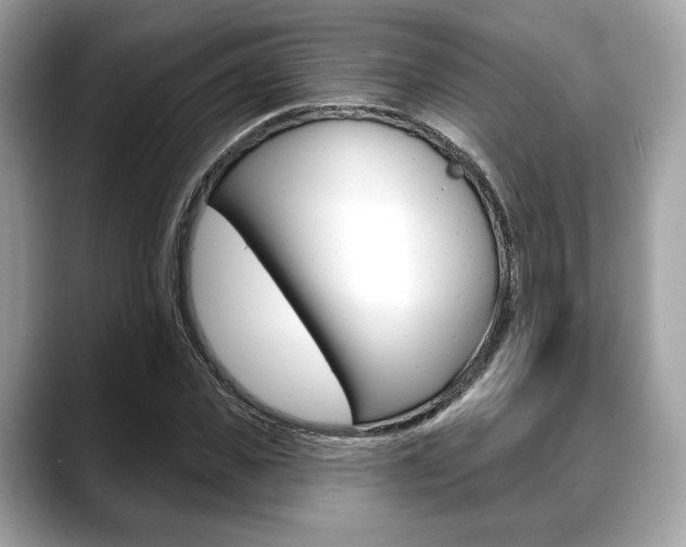 X0000088710925200705311036