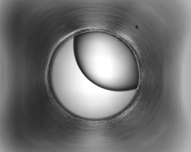 X0000088710928200705311036