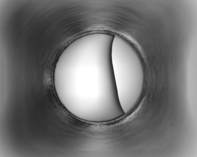 X0000088710929200705311036
