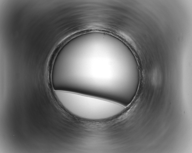 X0000088710931200705311036