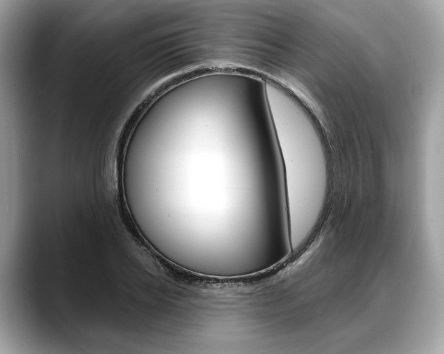 X0000088710934200705311036