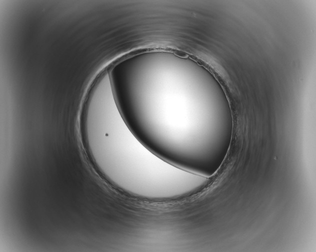 X0000088710936200705311036