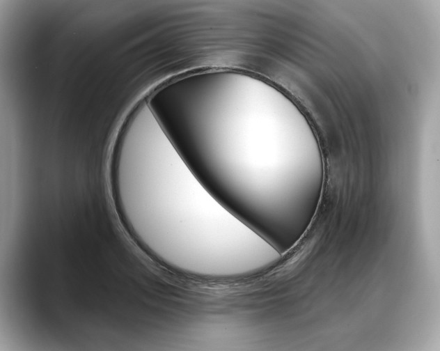 X0000088710939200705311036