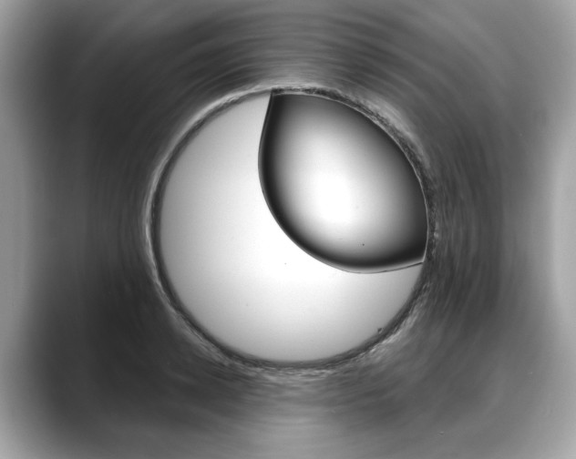 X0000088710942200705311036