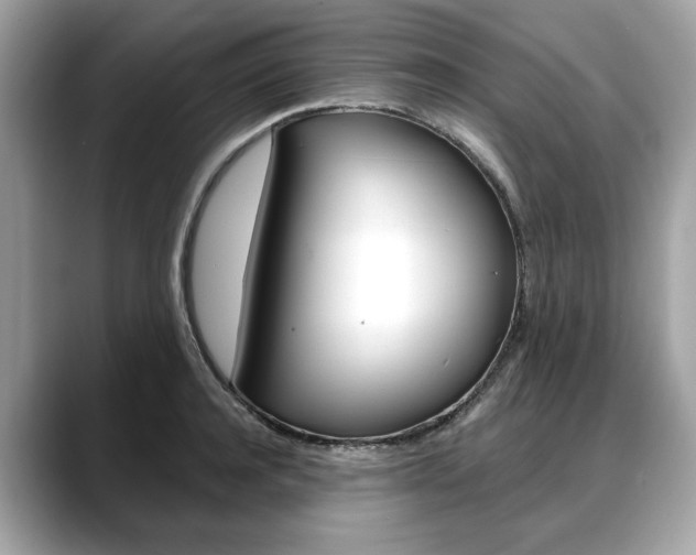 X0000088710944200705311036