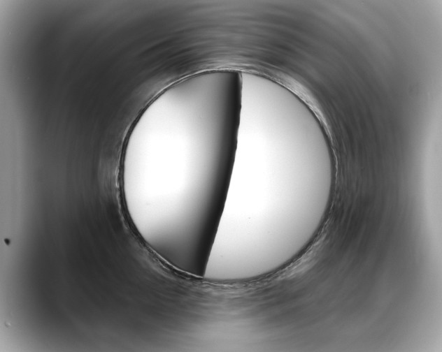 X0000088710954200705311036