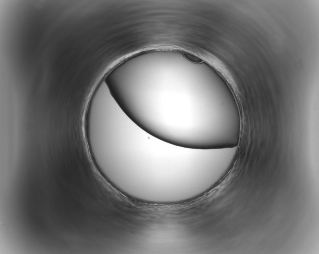 X0000088710958200705311036
