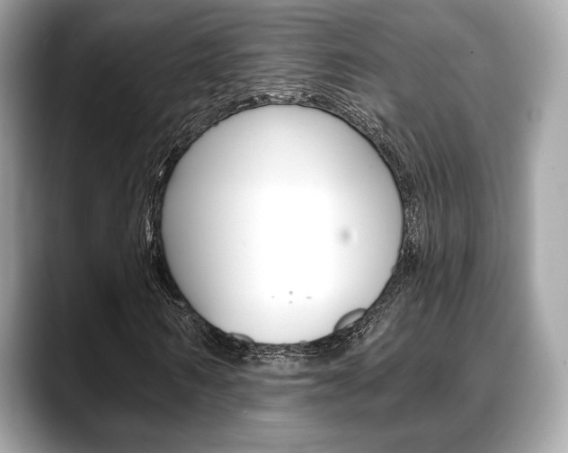 X0000088710962200705311036