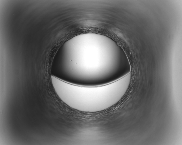 X0000088710965200705311036