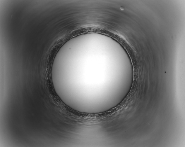X0000088710967200705311036