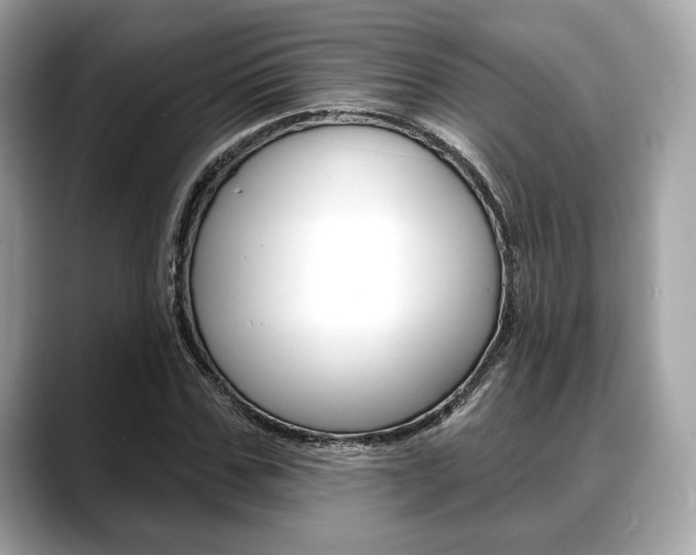 X0000088710971200705311035