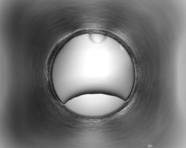 X0000088710974200705311035