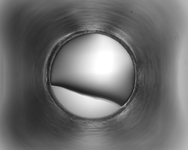 X0000088710979200705311035