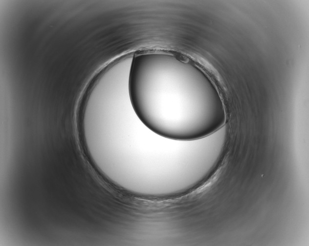 X0000088710981200705311035