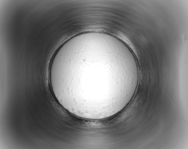 X0000088710994200705311035