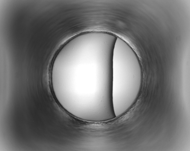 X0000088710998200705311035
