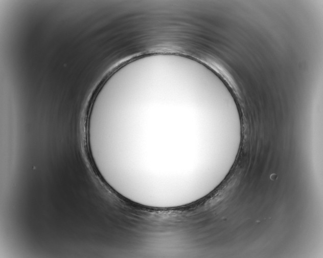 X0000088711000200705311035
