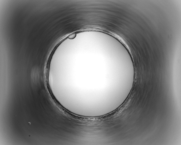 X0000088711003200705311035