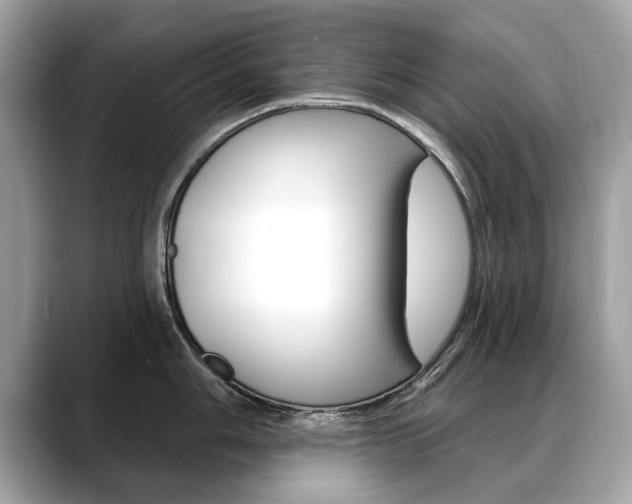 X0000088711006200705311035