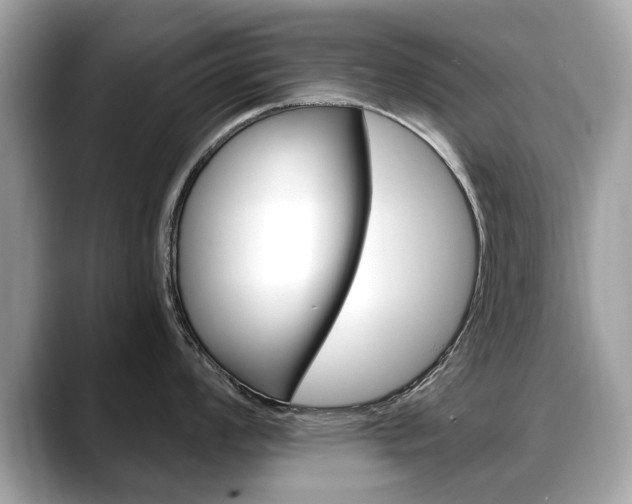 X0000088711008200705311035