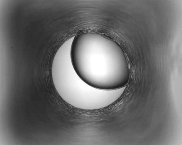 X0000088711010200705311034