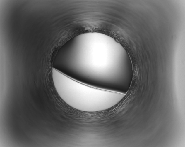 X0000088711012200705311035