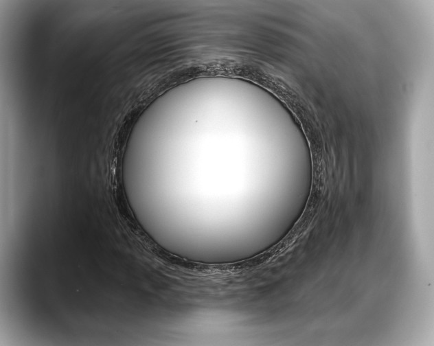 X0000088711013200705311035