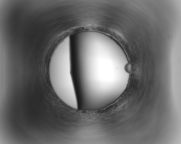 X0000088711016200705311035