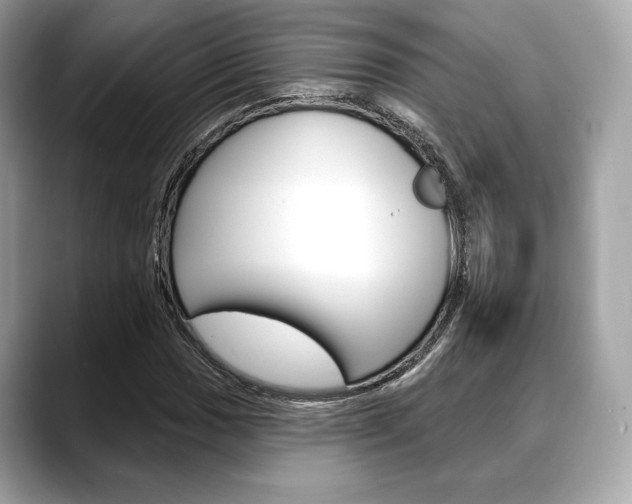 X0000088711017200705311035