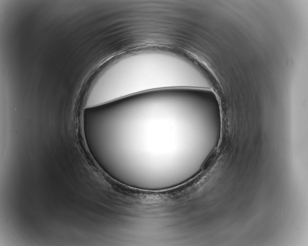 X0000088711018200705311035