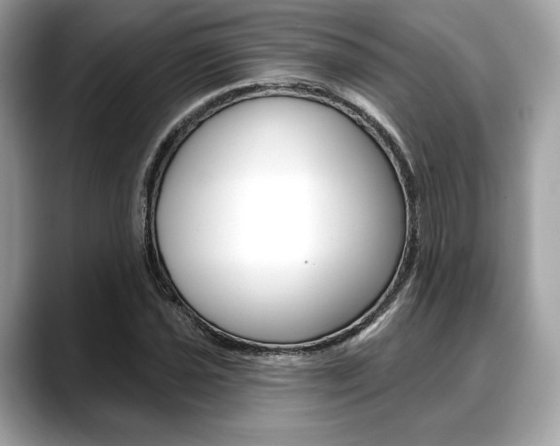 X0000088711021200705311035
