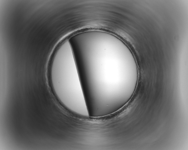 X0000088711029200705311035