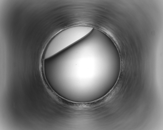 X0000088711042200705311035