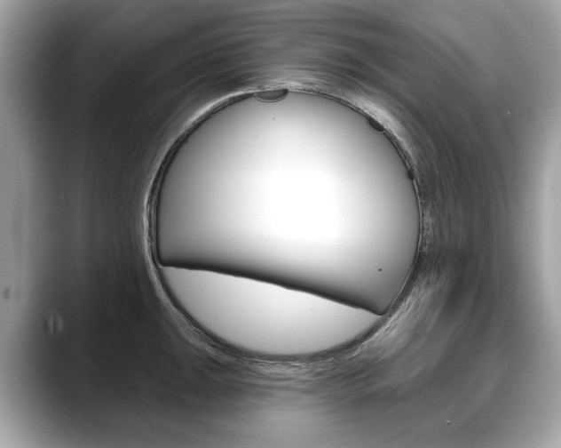 X0000088711047200705311035