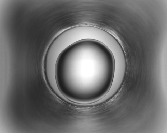 X0000088711048200705311035