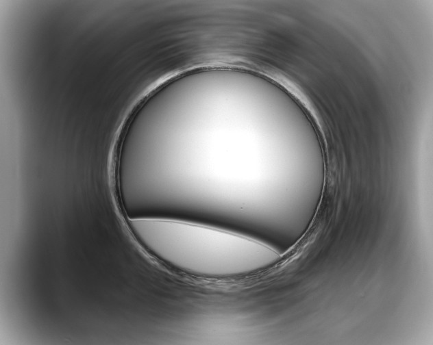 X0000088711053200705311035