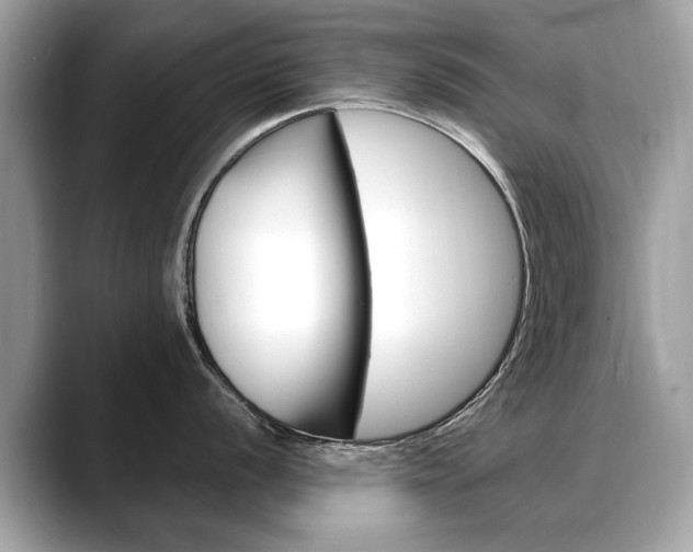 X0000088711056200705311035