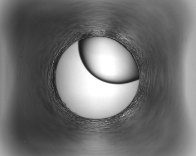 X0000088711057200705311034
