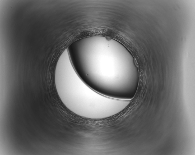 X0000088711058200705311034