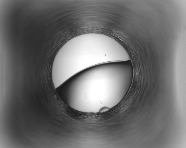 X0000088711060200705311034