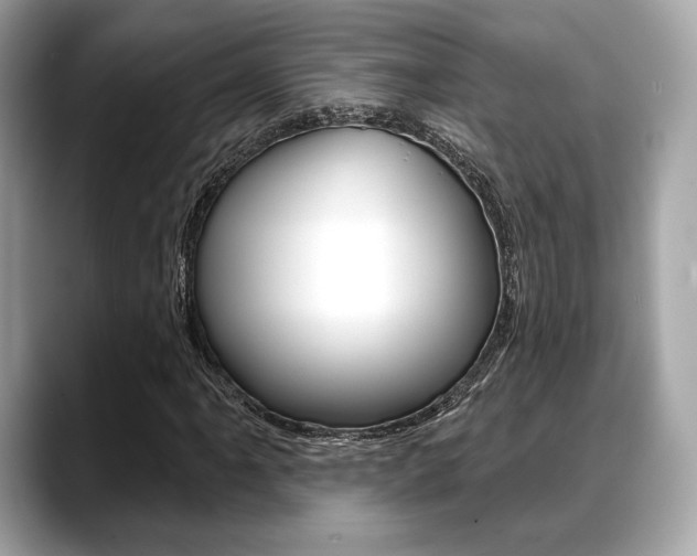 X0000088711061200705311034