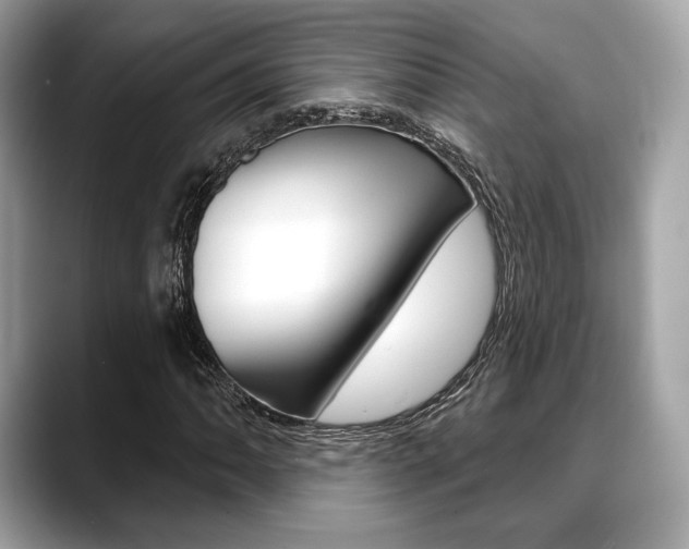 X0000088711062200705311034