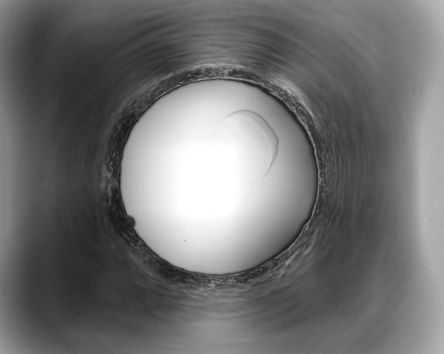 X0000088711064200705311034