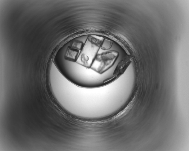 X0000088711065200705311034