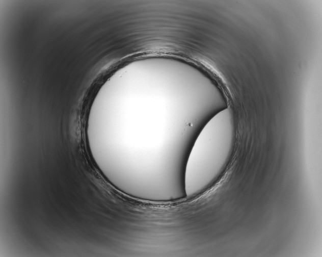 X0000088711067200705311034