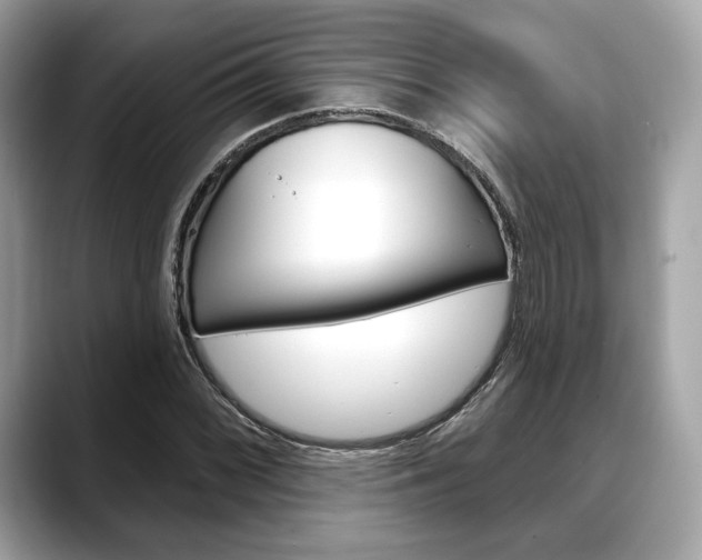 X0000088711068200705311034