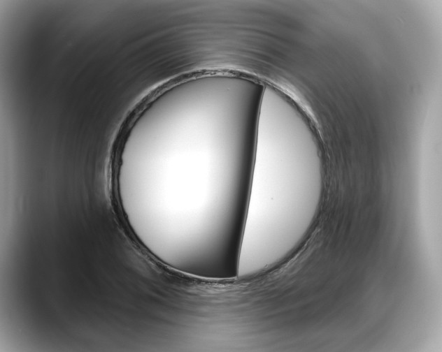 X0000088711076200705311034