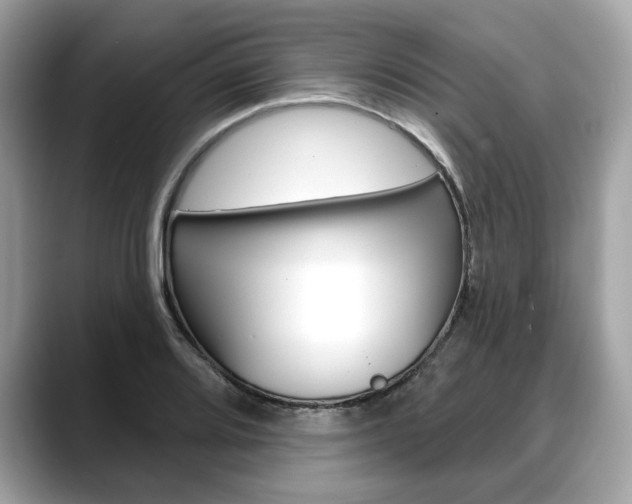 X0000088711080200705311034