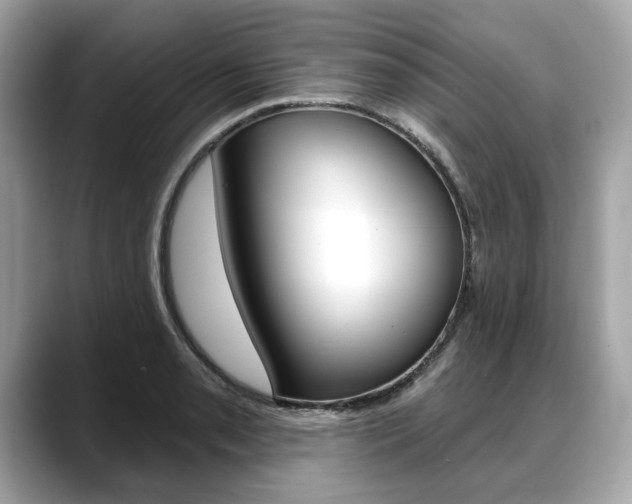 X0000088711085200705311034